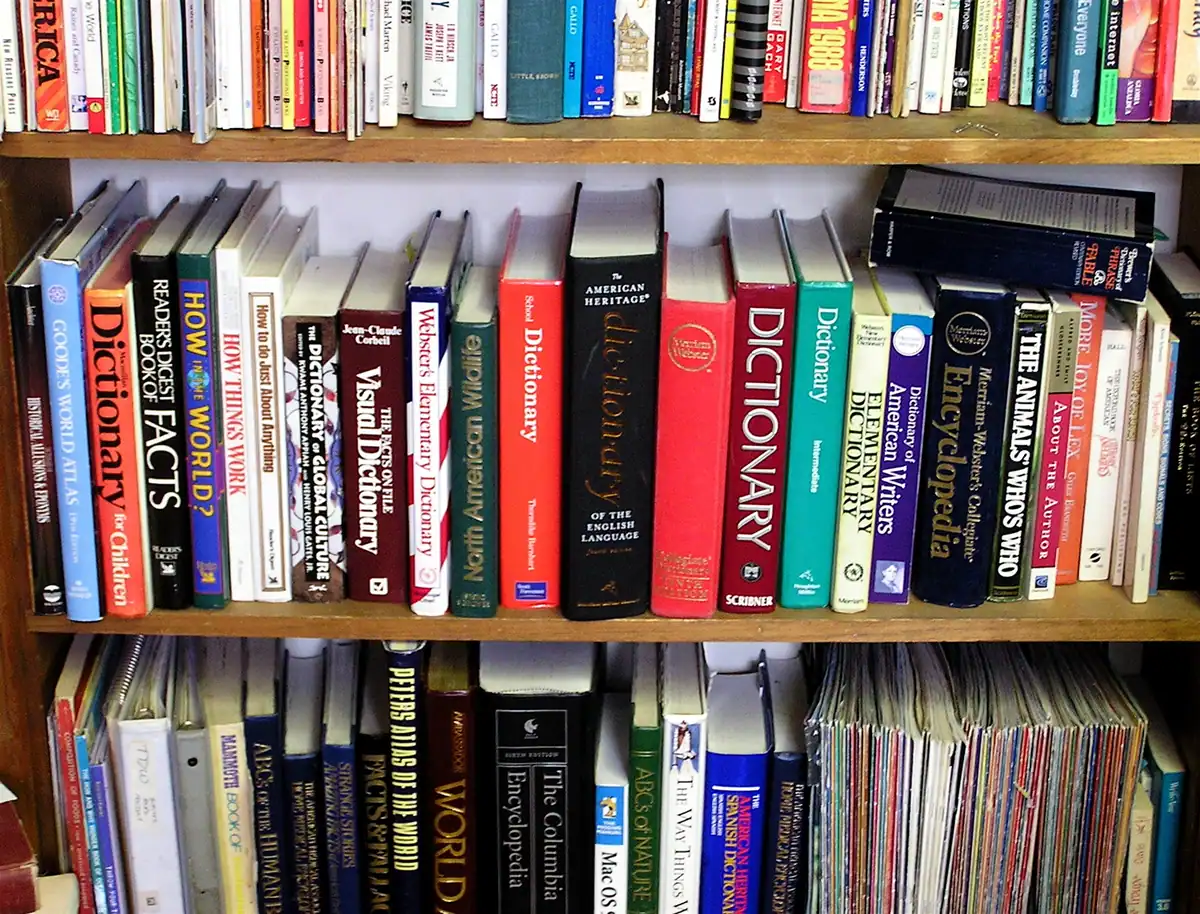 How Many Languages Are There in the World — and Why Nobody Agrees