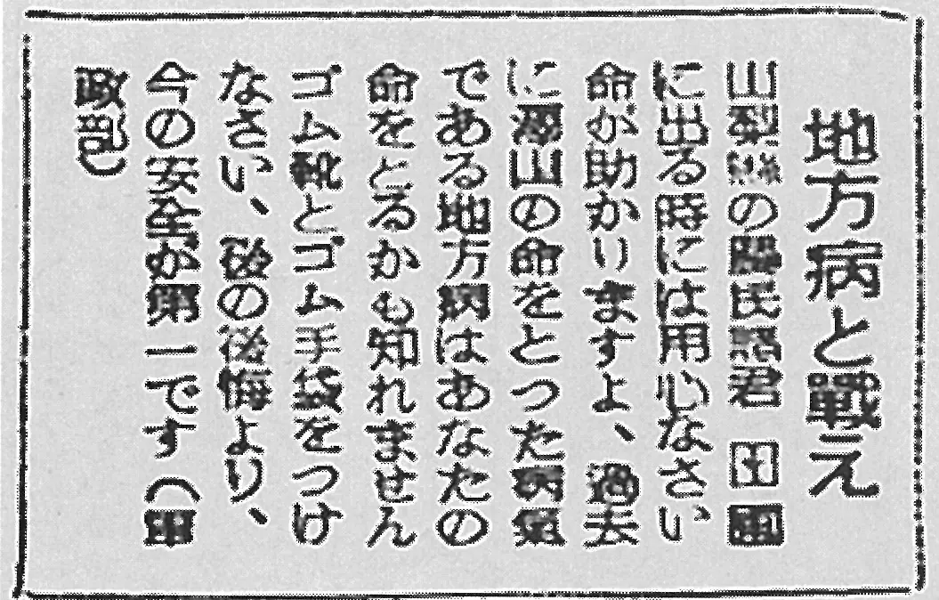 Why Japanese Is Written With Three Scripts at Once